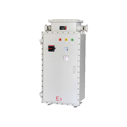 BQXB防爆變頻器 (IIB、 tD)